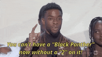 Chadwick Boseman Black Panther Cast GIF by SAG Awards