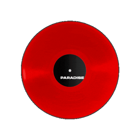 Vinyl Spinning Sticker