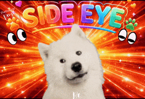 Eyes What GIF
