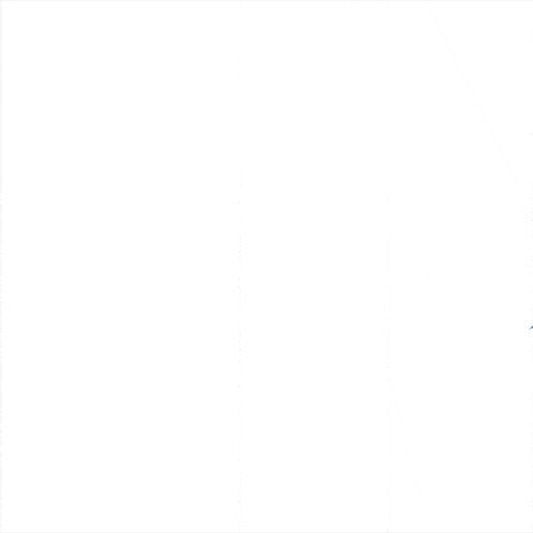 Eat Orange County GIF by Dizzy Bird