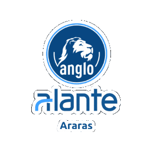 Anglo Araras Sticker by Conectar Educadores