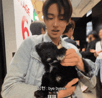 Cortis GIF