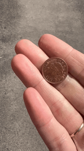 Money Coin GIF by Skint Dad