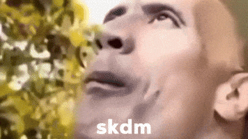 Skdm GIF