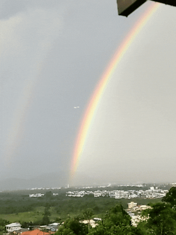 Arco Iris Rainbow GIF by Database數據