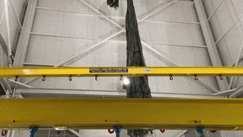 Mhscrane GIF