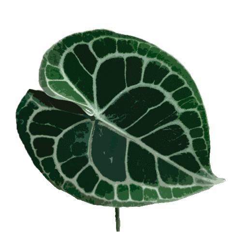 Plants Sticker