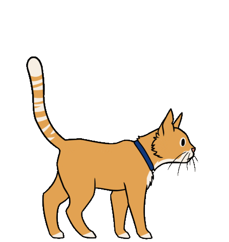 Animated Sticker