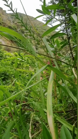 Jamie Love GIF by Jub