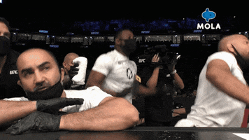 Fight Reaction GIF by MolaTV