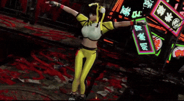 Dead Or Alive Fighting GIF