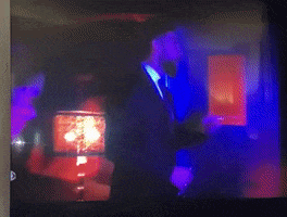 Scene Fbi GIF by taillors