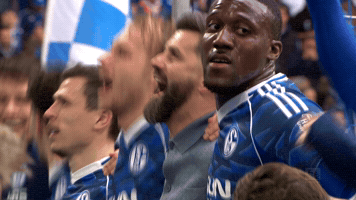 Nordkurve GIF by FC Schalke 04