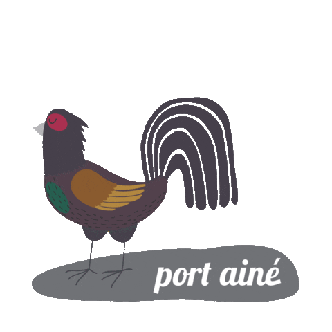 Port Ainé Sticker