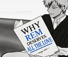 Re Zero Rem GIF
