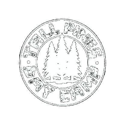 Day Camp Sticker by Tall Pines Day Camp