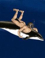 nude dolphin ride GIF by Scorpion Dagger