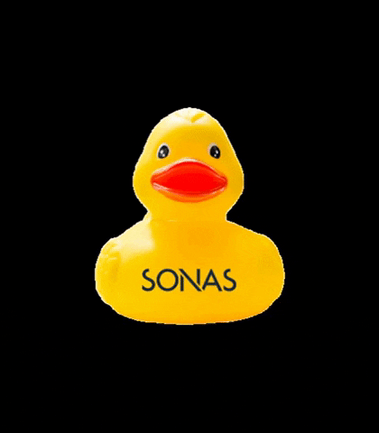 Duck Rubberduck GIF by SONAS Bathrooms