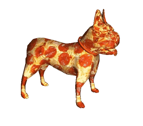 Source: http://www.reddit.com/r/gifs/comments/3bxosu/pizza_dog/