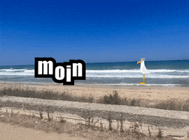 Moin GIF