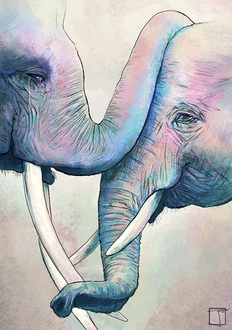 Elephant Love GIF by Phazed - Find & Share on GIPHY