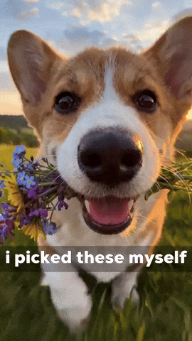 I Love You GIF