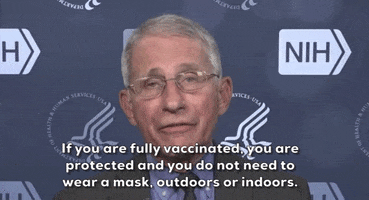 Fauci GIF by GIPHY News