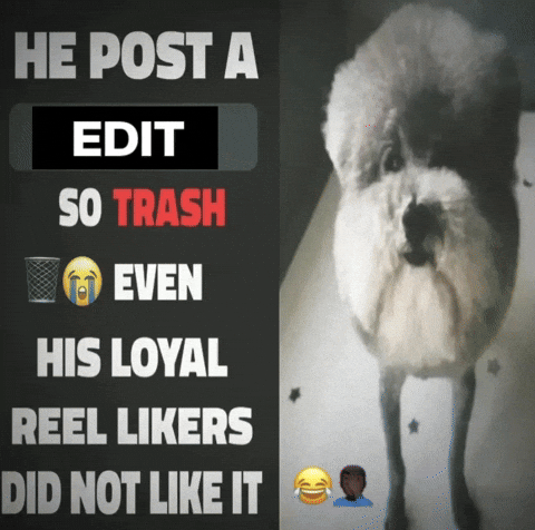 Ledit GIF