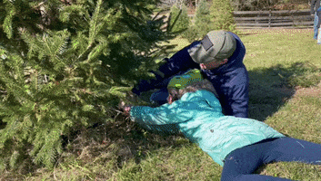 Christmas GIF
