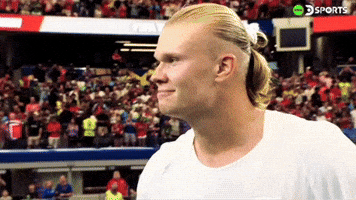 Norway Viking GIF