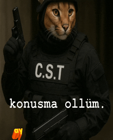 Cst GIF