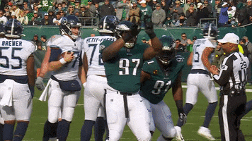 Fly Eagles Fly Nfl GIF by Philadelphia Eagles