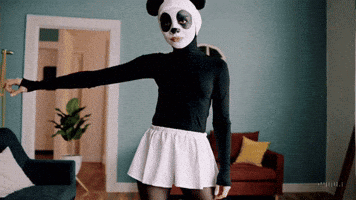 Wtf GIF