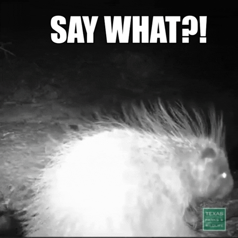 Texas Parks and Wildlife GIF