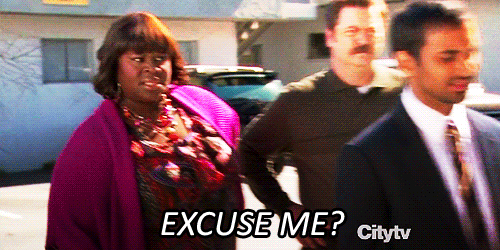 parks and recreation donna GIF