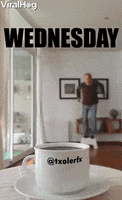 Wednesday Morning GIF by ViralHog