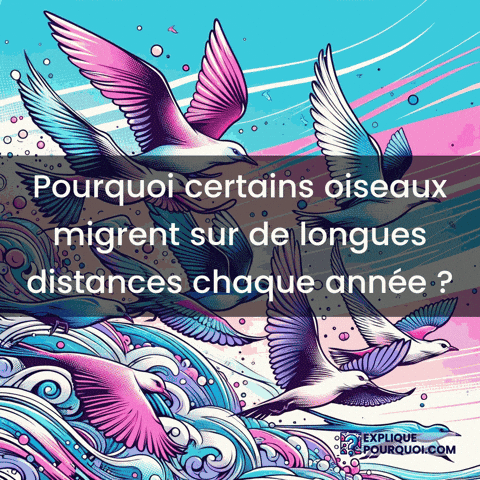 Migration Des Oiseaux GIF by ExpliquePourquoi.com