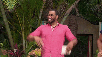 Season 6 Mike GIF by Bachelor in Paradise