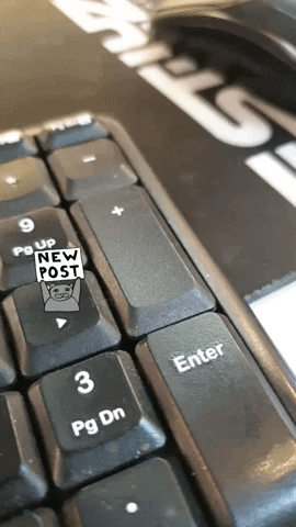Estiluz GIF