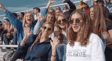 Football Fans GIF by Delaware Blue Hens