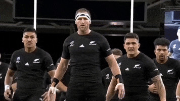 Read New Zealand GIF by Rugby World Cup