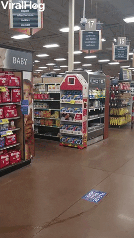 Skeleton Crew Keeps Grocery Store Clean GIF by ViralHog