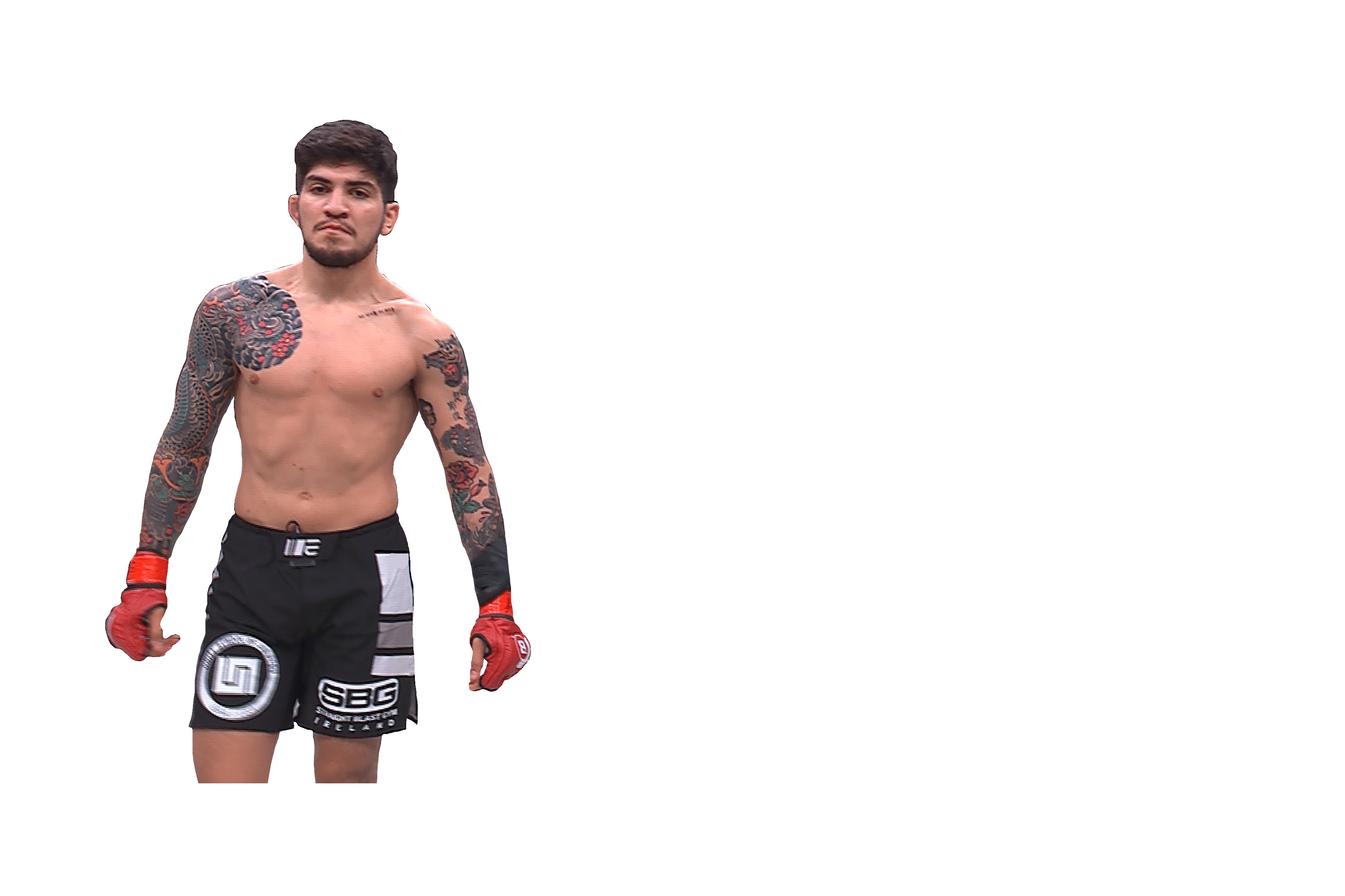 New York Mma Sticker by Dillon Danis for iOS & Android | GIPHY