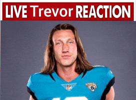 Jacksonville Jaguars GIF