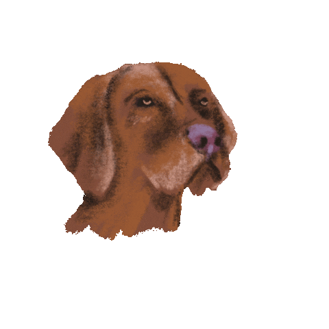 Dog Sticker