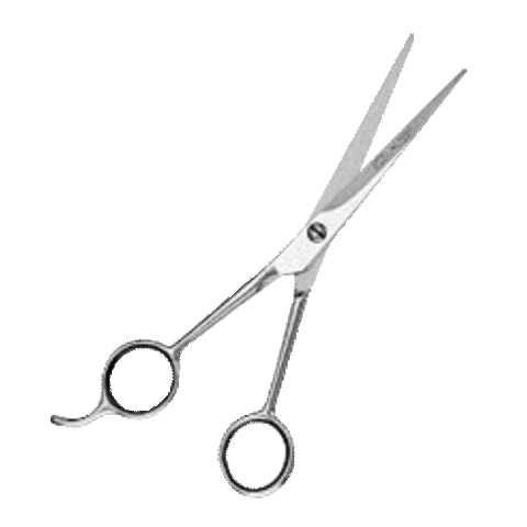 casanova beauty Sticker