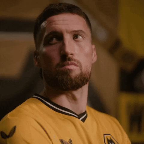 Premier League Football GIF by Wolves