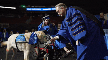 Dog Graduation GIF by Storyful
