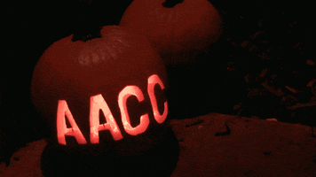 Halloween Pumpkin GIF by Anne Arundel Community College