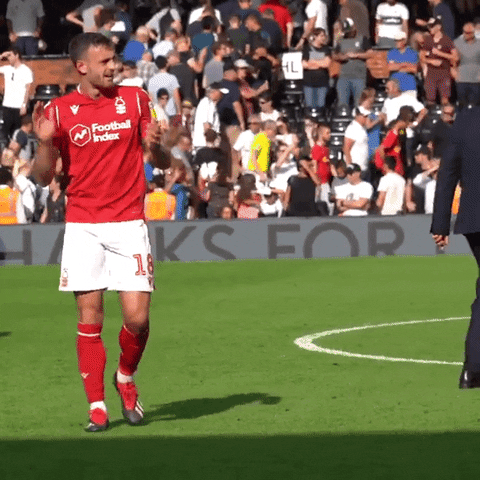 Jack Robinson Win GIF by Nottingham Forest